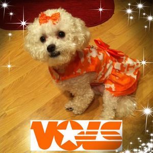 Meet your Posher, Morgan